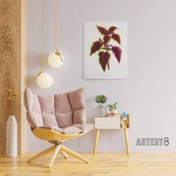 "Artery8 AF Lydon Benjamin Fawcett Red Coleus Plant Leaf Canvas Wall Art Print in White - Size: W12"" x H16""" - thumbnail 3