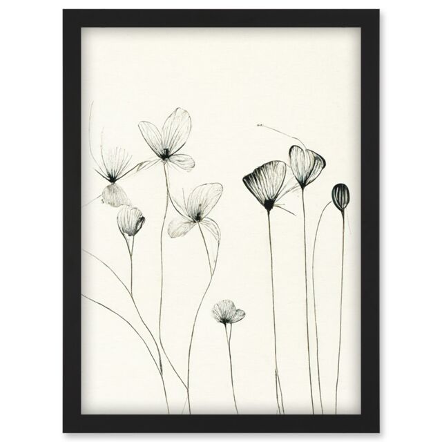 Artery8 Stylish Flower Illustration Line Drawing With Black Ink Artwork Framed Wall Art Print A4 - image 1