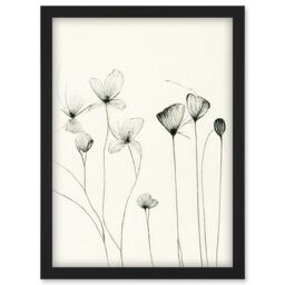Artery8 Stylish Flower Illustration Line Drawing With Black Ink Artwork Framed Wall Art Print A4 - thumbnail 1