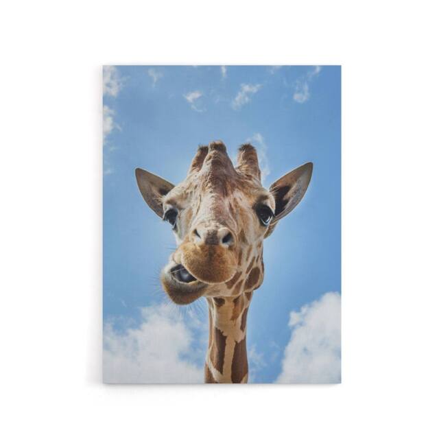 "Artery8 Funny up close look at a giraffe Highsmith Canvas Wall Art Print in Blue - Size: W12"" x H16""" - image 1