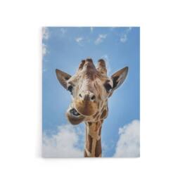 "Artery8 Funny up close look at a giraffe Highsmith Canvas Wall Art Print in Blue - Size: W12"" x H16""" - thumbnail 1