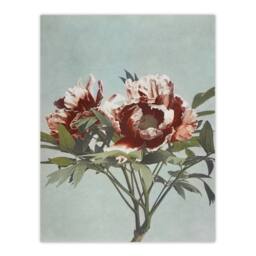 "Artery8 Tree Peonies Pink Flower Blooms Vintage Wall Art Print Kazumasa in Blue - Size: W12"" x H16""" - thumbnail 1