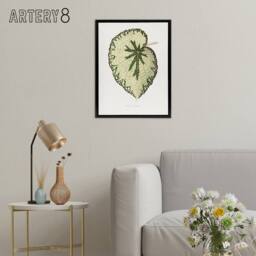"Artery8 AF Lydon Benjamin Fawcett Begonia Marshall Leaf Framed Canvas Art in White - Size: W12"" x H16""" - thumbnail 3