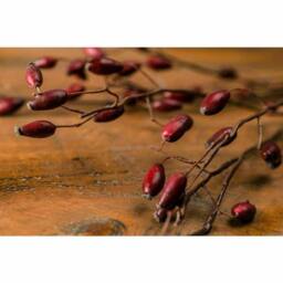 Lemon Pavilion Furniture and Decor Burgundy Rosehip Stem Artificial Plant - L17 x W17 x H108 cm - Red - thumbnail 4