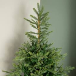Samuel Alexander 7ft (2.1m) Green Artificial Real Look Grandis Fir Christmas Tree with 2326 Tips & Metal Stand - thumbnail 4