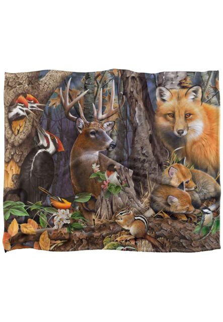 JQ Licensing Jg-Jp Forest Animals Silky Touch Super Soft Throw Blanket 152 X 127 cm in White - image 1