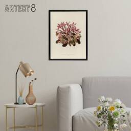"Artery8 Vintage Botanical Dwarf Copperleaf Fawcett Black Framed Canvas Art in Beige - Size: W18"" x H24""" - thumbnail 3