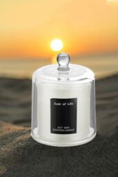 Living and Home Soy Wax Pear & Freesia Scented Jar Candle in White - thumbnail 2