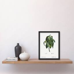 Artery8 Spurge Laurel Botanical Redoute Vintage Framed Wall Art Print in White - Size: A4 - thumbnail 4