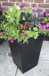 Primrose Tall Flared Square Fibreglass Planter in Matt Black 90cm - thumbnail 2