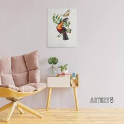 "Artery8 P Gervais Toucan & Butterfly Vintage Illustration Canvas Art Print in White - Size: W12"" x H16""" - thumbnail 3