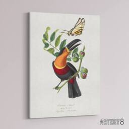 "Artery8 P Gervais Toucan & Butterfly Vintage Illustration Canvas Art Print in White - Size: W12"" x H16""" - thumbnail 2
