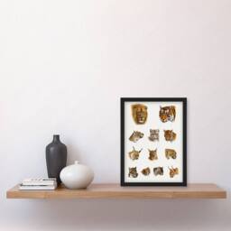 Artery8 Wild Animal Safari Big Cats Illustration Lydekker Framed Wall Art in White - Size: A4 - thumbnail 4