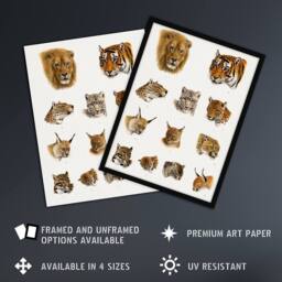 Artery8 Wild Animal Safari Big Cats Illustration Lydekker Framed Wall Art in White - Size: A4 - thumbnail 2
