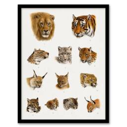 Artery8 Wild Animal Safari Big Cats Illustration Lydekker Framed Wall Art in White - Size: A4 - thumbnail 1