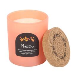 Something Different Wheel Of The Year Apple Mabon Candle in Orange
