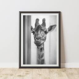 60 SECOND MAKEOVER Giraffe In The Shower Quirky Animal Print - Size: A4 - thumbnail 1