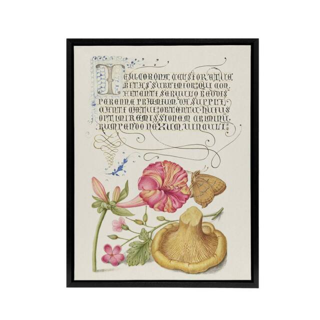 "Artery8 Flowers Mushroom & Butterfly Calligraphy Framed Canvas Wall Art in White - Size: W12"" x H16""" - image 1