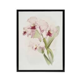 "Artery8 Frederick Sander Cattleya labiata Orchid Flowers Framed Canvas Art - Size: W12"" x H16""" - thumbnail 1