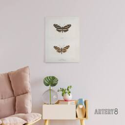 "Artery8 Zebra Longwing Butterfly Sherman Denton Canvas Wall Art Print in White - Size: W12"" x H16""" - thumbnail 3