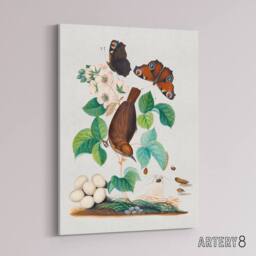 "Artery8 House Wren Butterflies Beetle & Spider Bolton Canvas Wall Art - Size: W18"" x H24""" - thumbnail 2