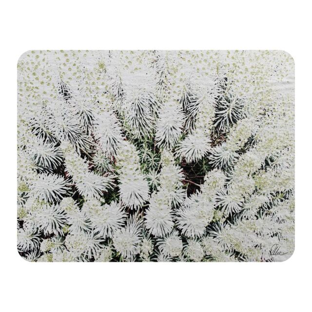 Benjamin Tate Design Beautifully White Blanket in Natural - Size: 120 cm x 150 cm - image 1