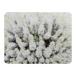 Benjamin Tate Design Beautifully White Blanket in Natural - Size: 120 cm x 150 cm - thumbnail 1