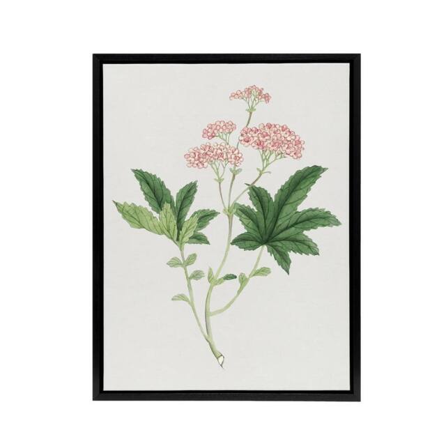"Artery8 Shimotsuke Flower Framed Canvas Wall Art Print Vintage Japan Botanical in Pink - Size: W12"" x H16""" - image 1