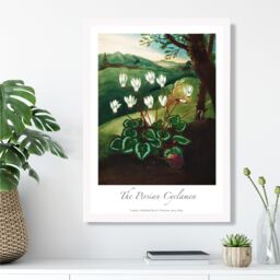 ARTZE Vintage Floral Exhibition - Cyclamen Flowers Framed Print SIZE: A4 with White Frame in Green - thumbnail 2