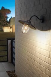 Eglo Melgoa Clear Metal & Glass IP44 Outdoor Wall Light in Black - thumbnail 2