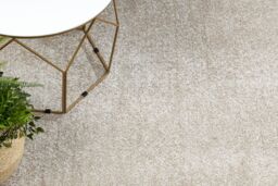 RugsX Wall-To-Wall Rug in Beige - Size: 300 cm x 400 cm - thumbnail 5