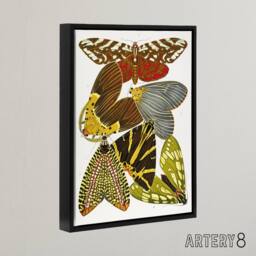 "Artery8 Vintage Butterfly Illustration Framed Canvas Wall Art Print Eugene Seguy - Size: W12"" x H16""" - thumbnail 2