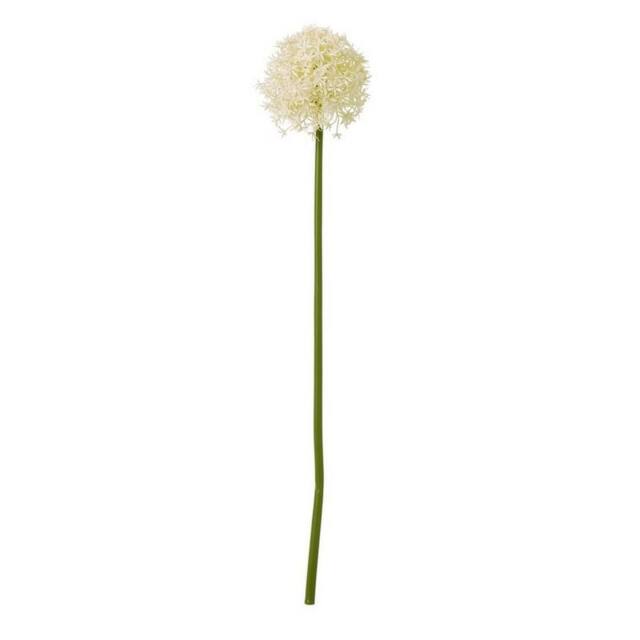 Lemon Pavilion Furniture and Decor Medium Allium (Single Stem Flower), Plastic, L16 x W16 x H80 cm, Cream - image 1