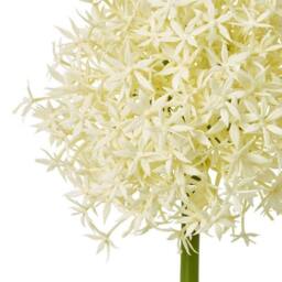 Lemon Pavilion Furniture and Decor Medium Allium (Single Stem Flower), Plastic, L16 x W16 x H80 cm, Cream - thumbnail 2