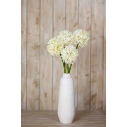 Lemon Pavilion Furniture and Decor Medium Allium (Single Stem Flower), Plastic, L16 x W16 x H80 cm, Cream - thumbnail 4