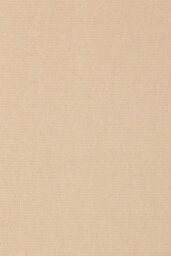 Homescapes Plain Cotton Ready Made Eyelet Curtain Pair in Beige - Size: 140 cm width x 183 cm drop - thumbnail 5