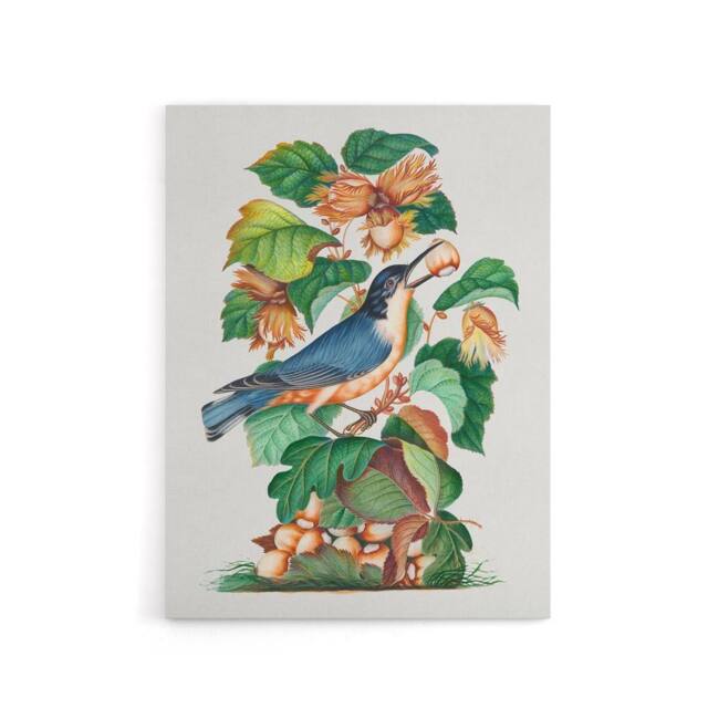 "Artery8 Nuthatch Bird Hazel Oak & Bramble Bolton Canvas Wall Art - Size: W18"" x H24""" - image 1