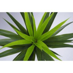 Leaf 90cm (3ft) Large Artificial Yukka Plant Spiky Tree Plant Realistic in Green - thumbnail 3