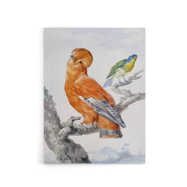 "Artery8 Two Exotic Birds Watercolour Painting Schouman Canvas Wall Art Print in White - Size: W12"" x H16""" - image 1