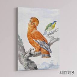 "Artery8 Two Exotic Birds Watercolour Painting Schouman Canvas Wall Art Print in White - Size: W12"" x H16""" - thumbnail 2