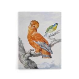 "Artery8 Two Exotic Birds Watercolour Painting Schouman Canvas Wall Art Print in White - Size: W12"" x H16""" - thumbnail 1