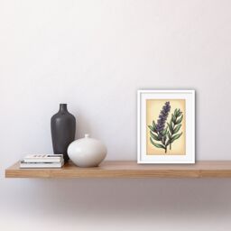"Artery8 Wall Art Print Lavender Flower Old School USA Tattoo Ink Body Art Rockabilly Americana 50s Artwork Framed 9X7 Inch in White - Size: W7"" x H9""" - thumbnail 2