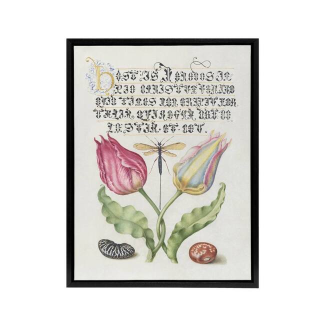 "Artery8 Tulip Ichneumon Wasp & Beans Calligraphy Framed Canvas Wall Art in White - Size: W12"" x H16""" - image 1