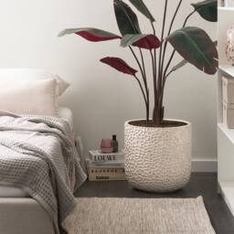 Wyld and Coco Beige Fibre Clay Planter 43 cm Lightweight Indoor Outdoor Pot