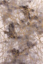 Celebrity Interiors Bianco 185TA Grey/Gold Rug in Grey - Size: 120 cm x 170 cm - thumbnail 4