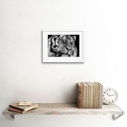 "Artery8 Wall Art Print Tiger Close Up Photograph Art Framed 9x7 inch in White - Size: W7"" x H9""" - thumbnail 2