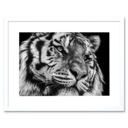 "Artery8 Wall Art Print Tiger Close Up Photograph Art Framed 9x7 inch in White - Size: W7"" x H9""" - thumbnail 1