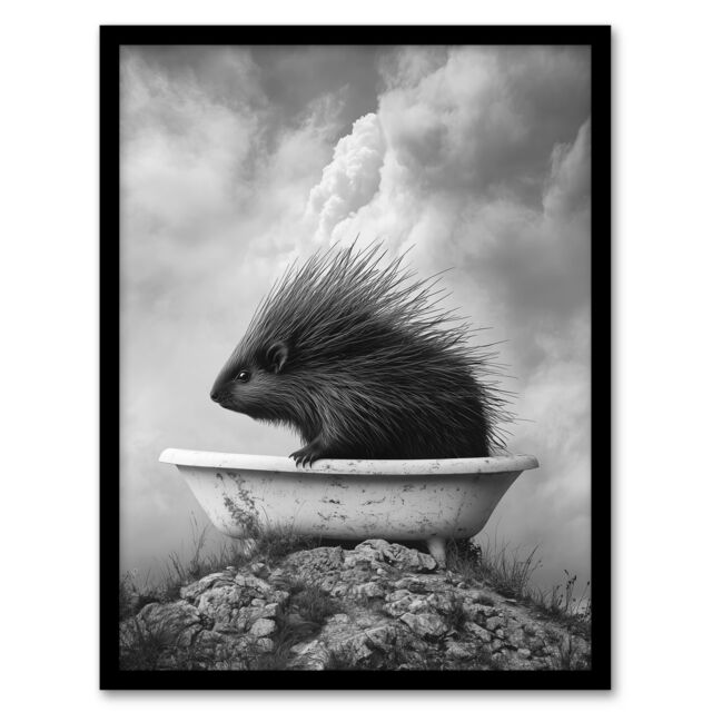Artery8 Cute Porcupine in Bathtub Black White Surreal Framed Art Print in Grey - Size: A4 - image 1