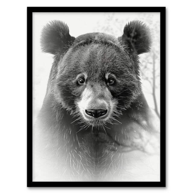 Artery8 Wall Art Print Bear Portrait Pencil Drawing Animal Lover Realistic Art Framed Poster in Black - Size: A4 - image 1
