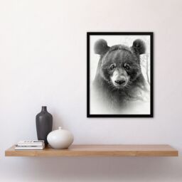 Artery8 Wall Art Print Bear Portrait Pencil Drawing Animal Lover Realistic Art Framed Poster in Black - Size: A4 - thumbnail 4